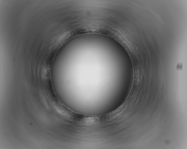 X0000096190126200802011415