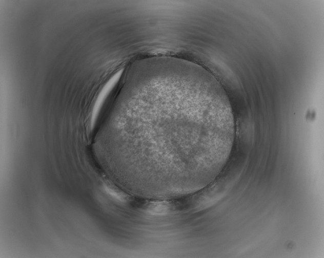 X0000096190127200802011415