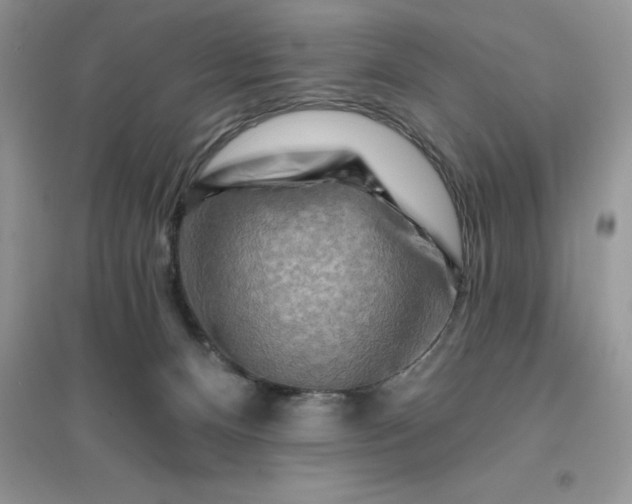 X0000096190128200802011415