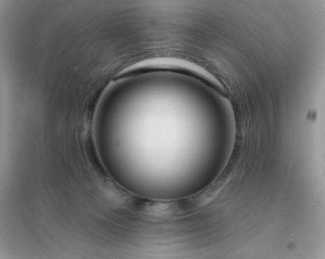 X0000096190129200802011415