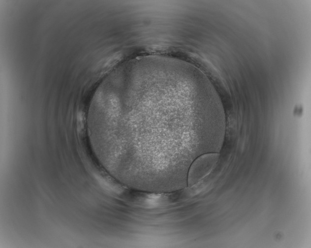 X0000096190130200802011415