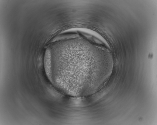 X0000096190131200802011415