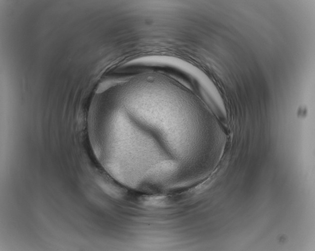 X0000096190132200802011415