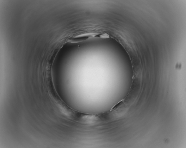 X0000096190133200802011415