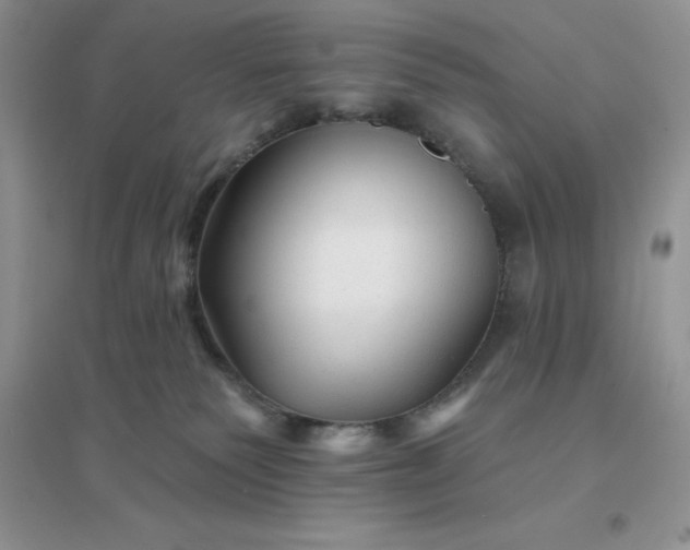 X0000096190135200802011415