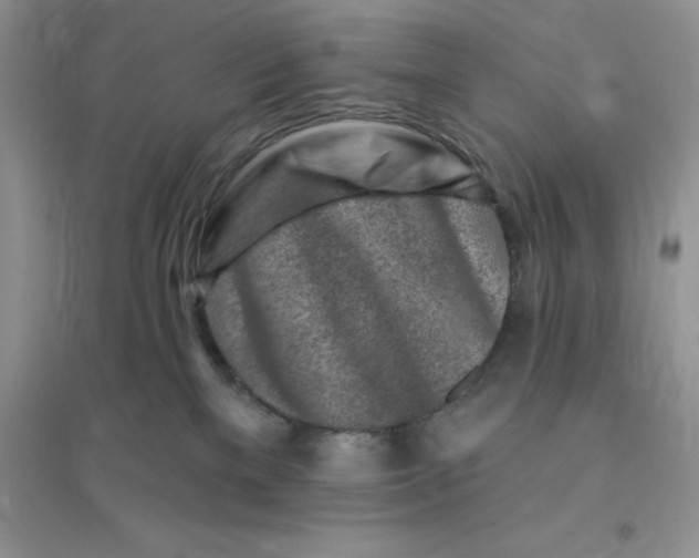 X0000096190137200802011415