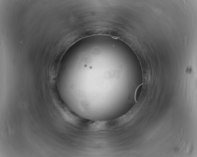 X0000096190138200802011415