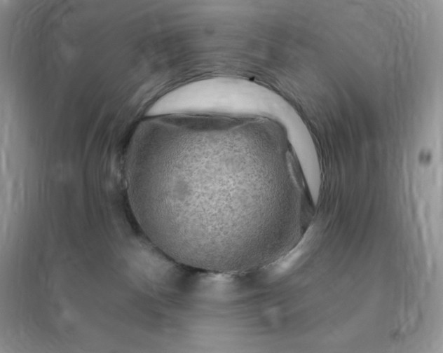 X0000096190140200802011415