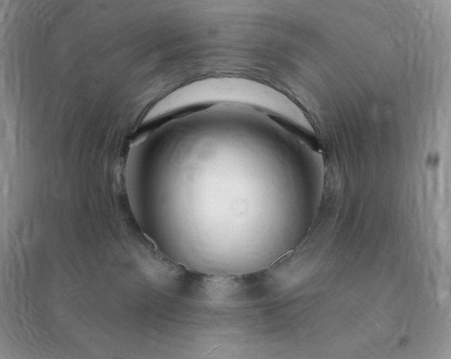 X0000096190141200802011415