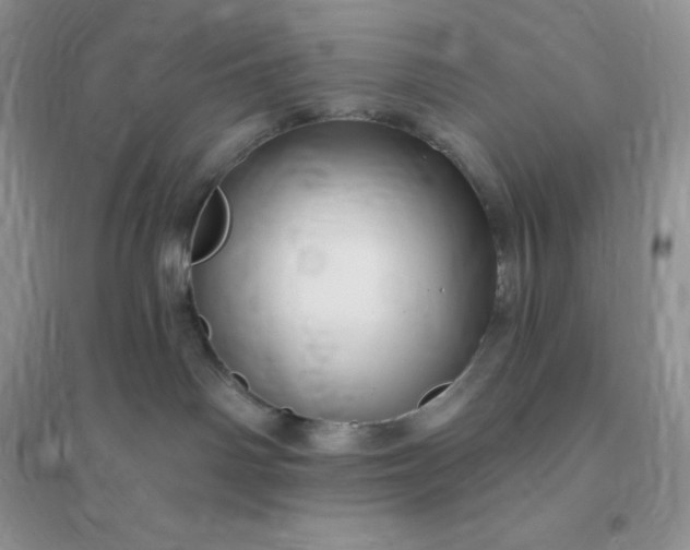 X0000096190142200802011415