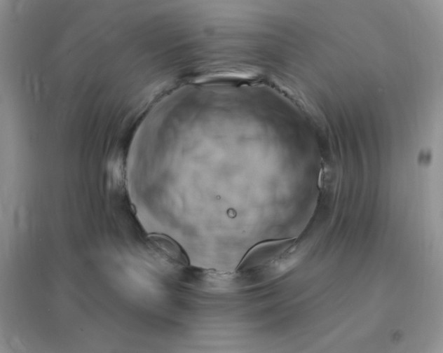 X0000096190143200802011415