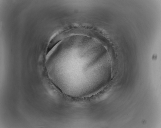 X0000096190144200802011415