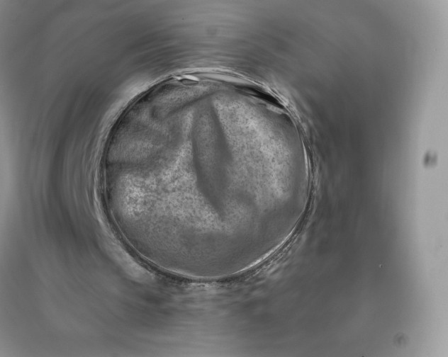 X0000096190145200802011414