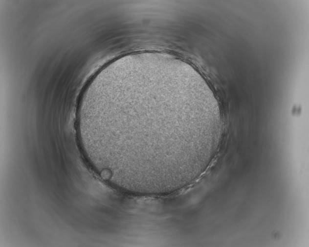 X0000096190146200802011414