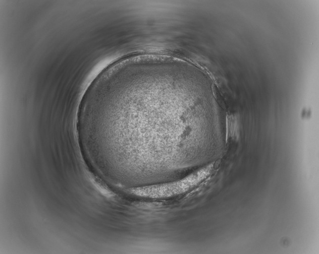 X0000096190147200802011414