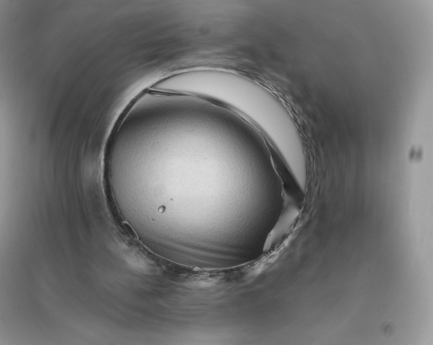 X0000096190148200802011415