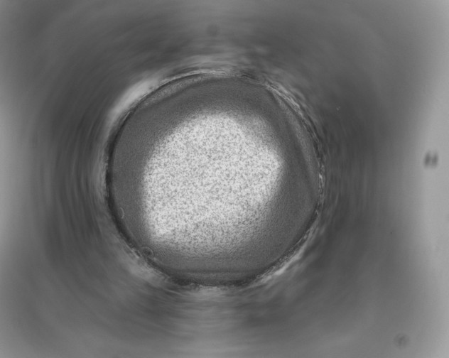 X0000096190149200802011415