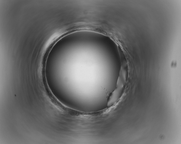 X0000096190150200802011415