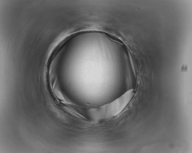 X0000096190152200802011415