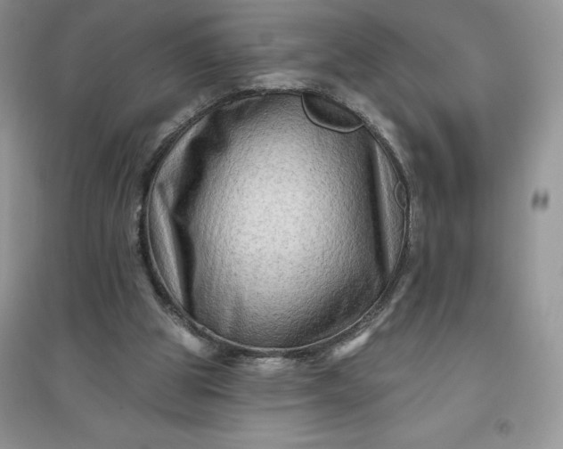 X0000096190153200802011415