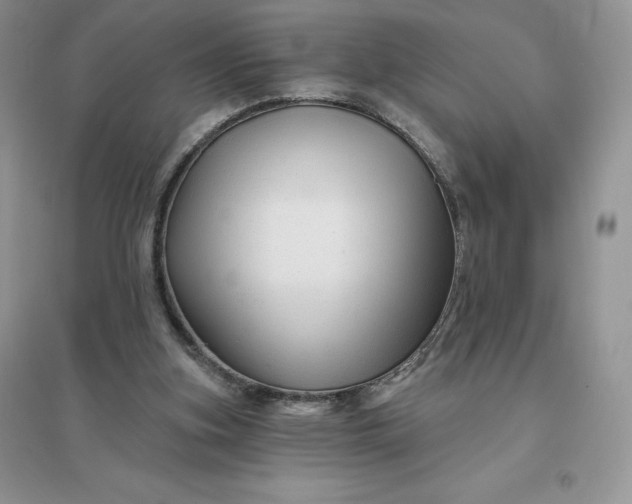 X0000096190155200802011415