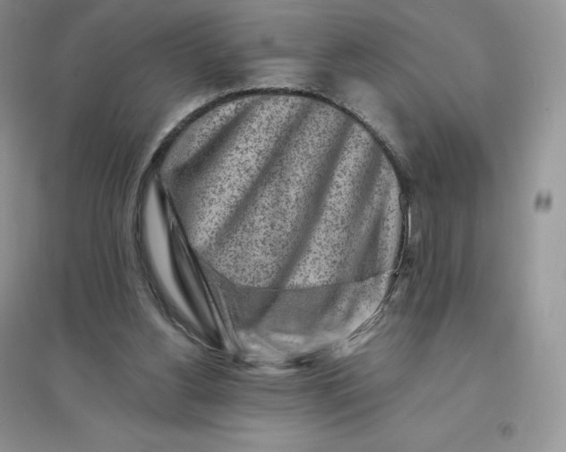 X0000096190156200802011415