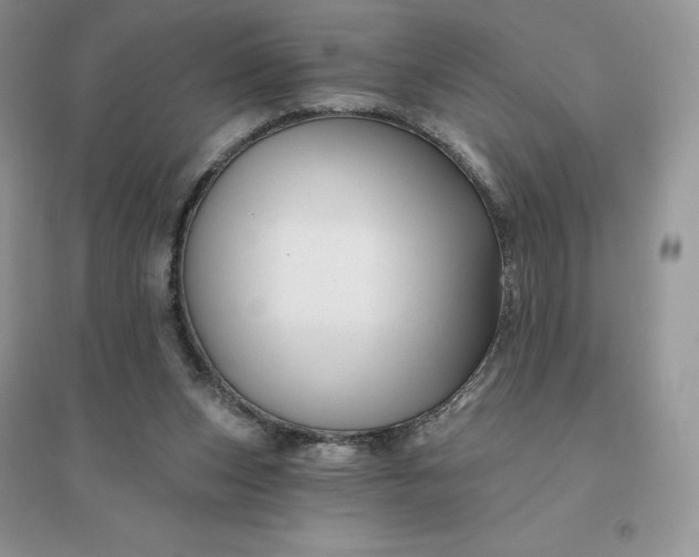 X0000096190159200802011415