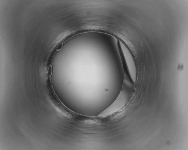 X0000096190160200802011415