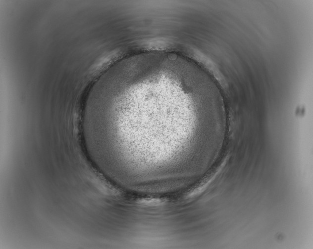 X0000096190161200802011415