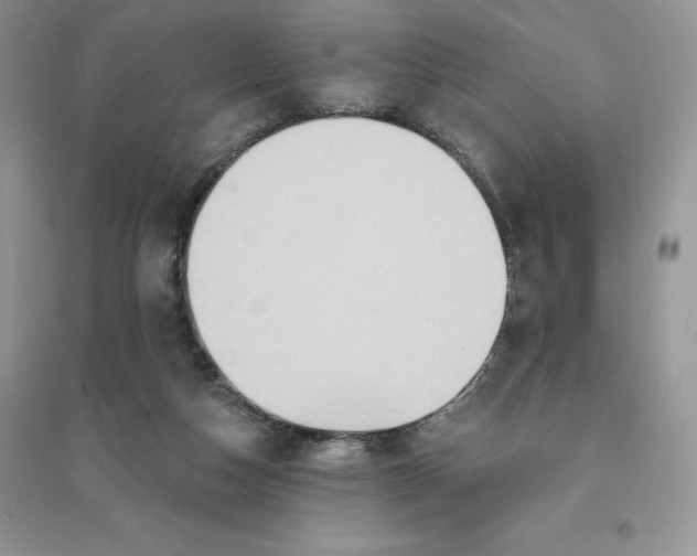 X0000096190162200802011415