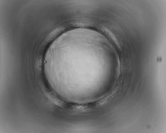 X0000096190163200802011415