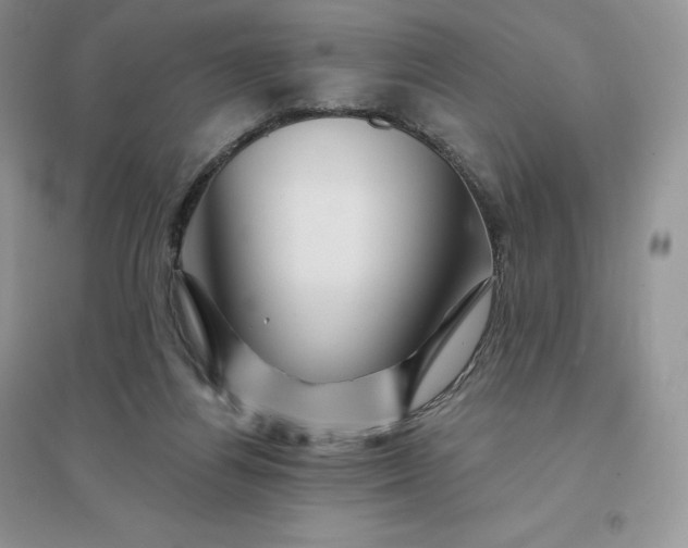 X0000096190164200802011415