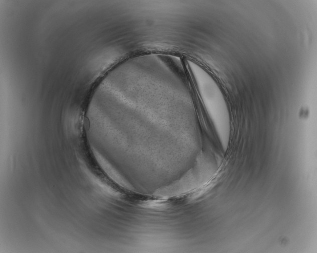 X0000096190168200802011415