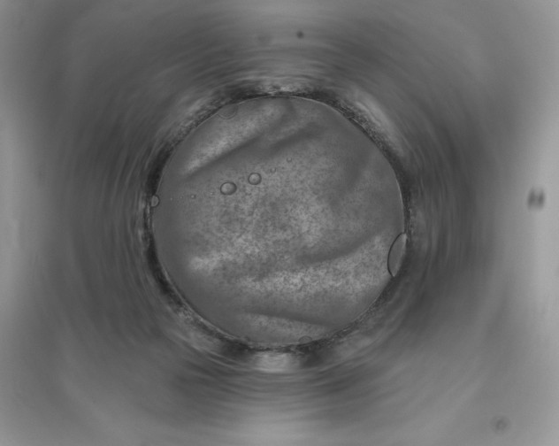 X0000096190169200802011415