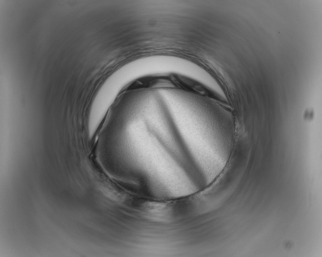 X0000096190170200802011415