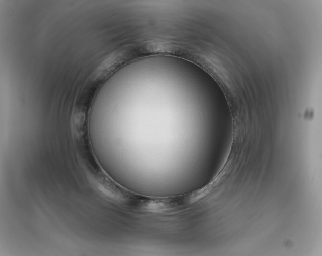 X0000096190171200802011415