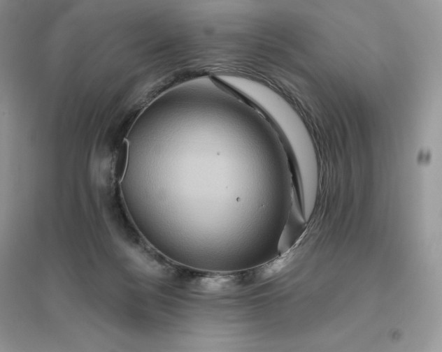 X0000096190172200802011415