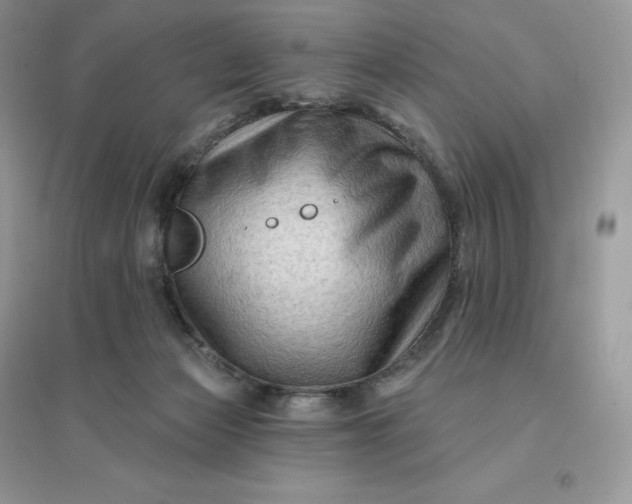 X0000096190173200802011415