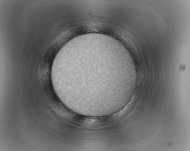 X0000096190174200802011415