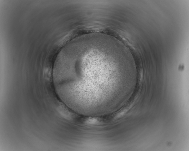 X0000096190177200802011415