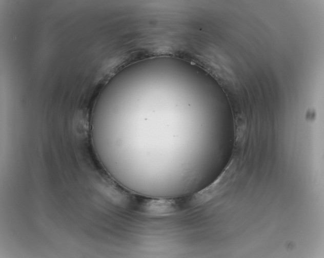 X0000096190179200802011415