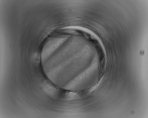 X0000096190180200802011415