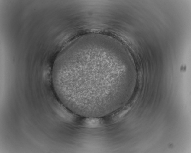 X0000096190181200802011415