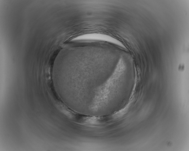 X0000096190182200802011415