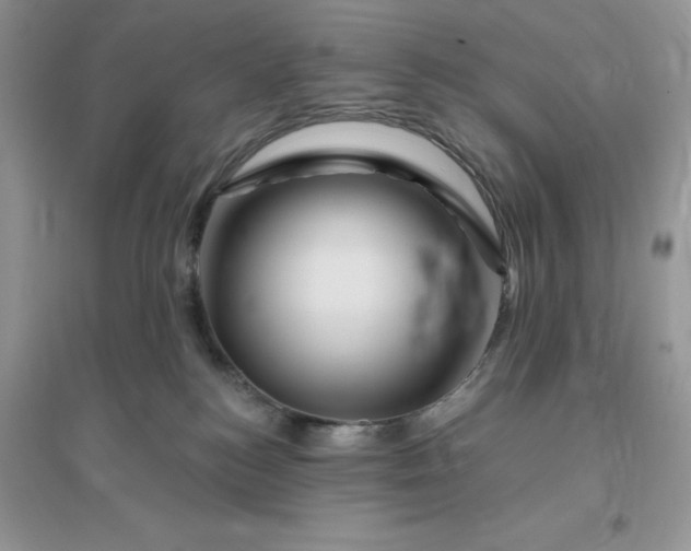 X0000096190184200802011415