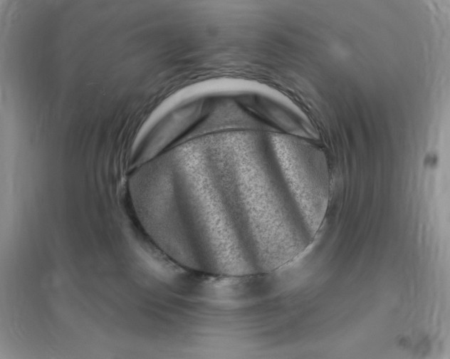 X0000096190186200802011415