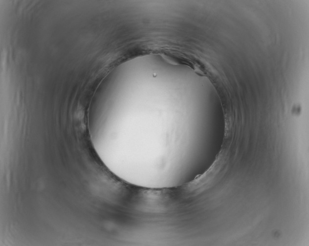 X0000096190187200802011415