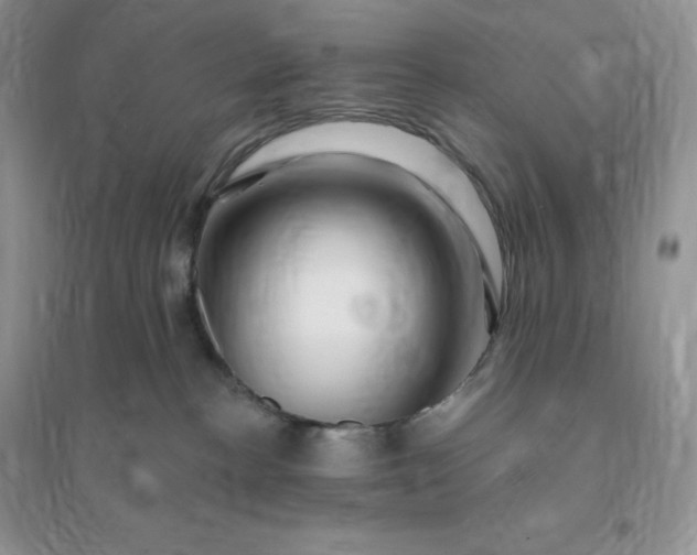 X0000096190188200802011415