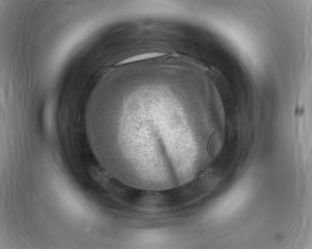 X0000096190189200802011415