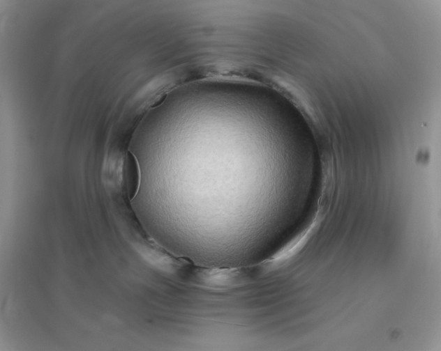 X0000096190191200802011415